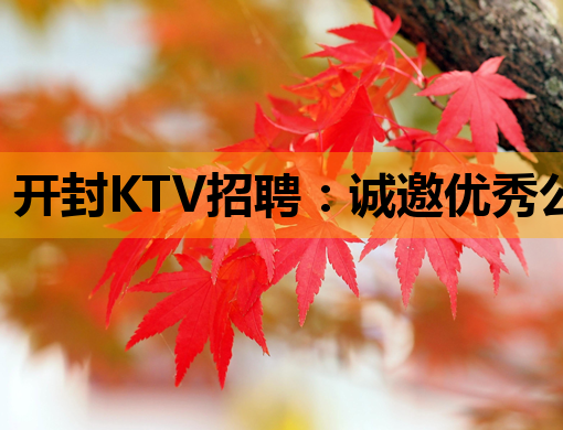 开封KTV招聘：诚邀优秀公关，待遇优厚，机不可失！