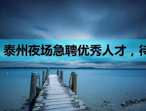 泰州夜场急聘优秀人才，待遇优厚，机会难得！