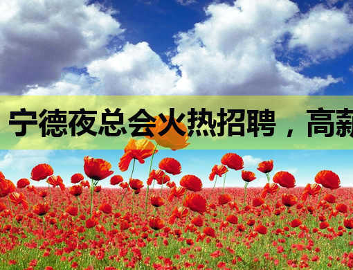 宁德夜总会火热招聘，高薪职位等你来挑战！