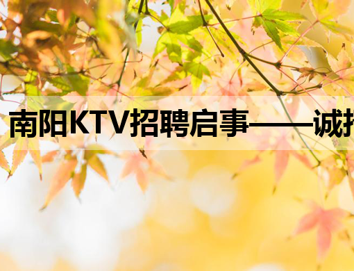 南阳KTV招聘启事——诚招优秀服务人员，待遇优厚