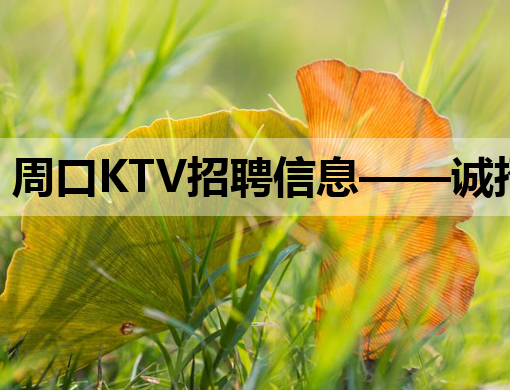 周口KTV招聘信息——诚招热情服务生，加入潮流娱乐新风尚！