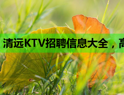 清远KTV招聘信息大全，高薪诚聘英才！