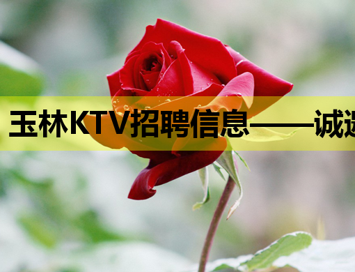 玉林KTV招聘信息——诚邀您的加入，共创夜生活新篇章！