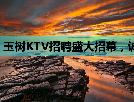 玉树KTV招聘盛大招幕，诚邀您的加入共创辉煌！