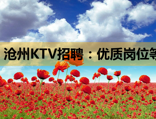 沧州KTV招聘：优质岗位等你来，夜场工作新选择