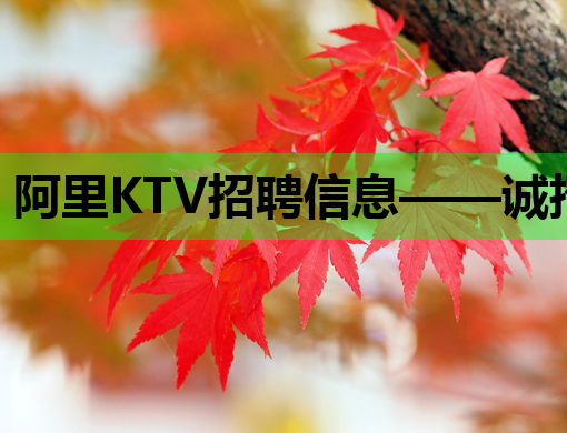 阿里KTV招聘信息——诚招模特与公关人才，阜新苏州两地热招