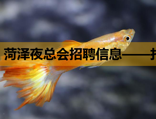 菏泽夜总会招聘信息——打造炫丽夜生活，诚邀您的加入！