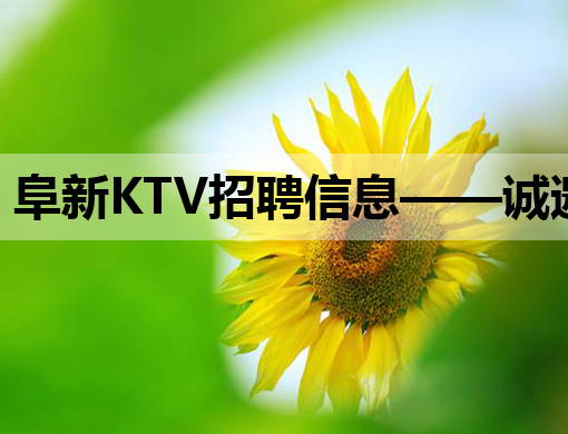 阜新KTV招聘信息——诚邀优秀人才，共创美好夜生活