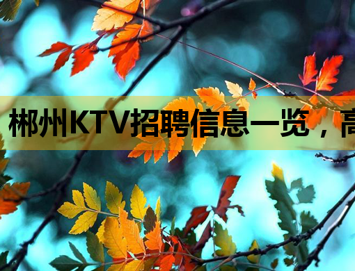 郴州KTV招聘信息一览，高薪职位等你来挑战！