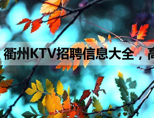 衢州KTV招聘信息大全，高薪职位等你来挑战！