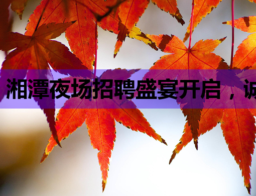 湘潭夜场招聘盛宴开启，诚邀精英加入！