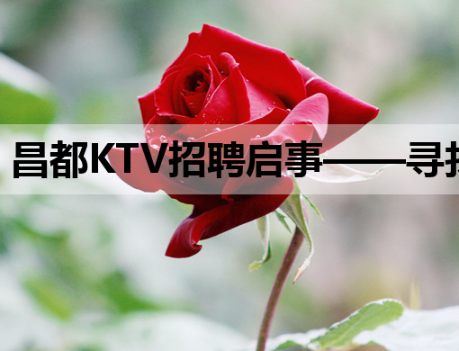 昌都KTV招聘启事——寻找夜生活新星，打造娱乐新风尚！