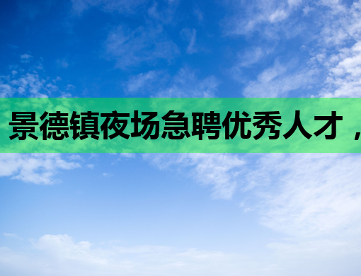 景德镇夜场急聘优秀人才，高薪职位等你来挑战！——巢湖伴游、绥