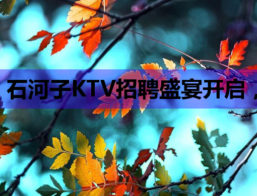 石河子KTV招聘盛宴开启，诚邀您的加入！