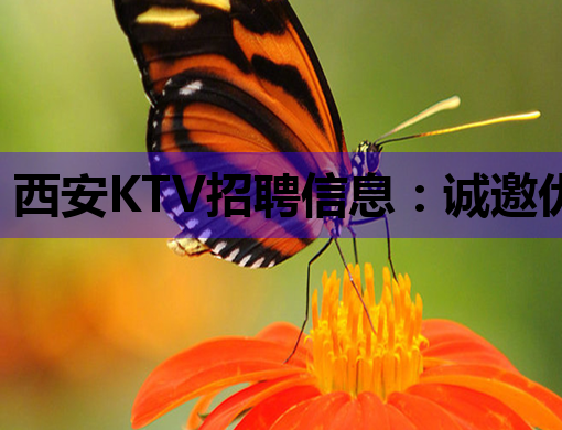 西安KTV招聘信息：诚邀优秀人才，打造娱乐新风尚！