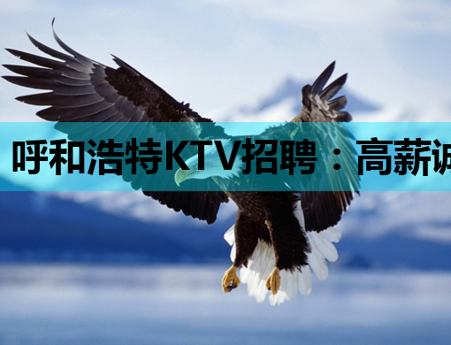 呼和浩特KTV招聘：高薪诚聘，机会难得，你还在等什么？