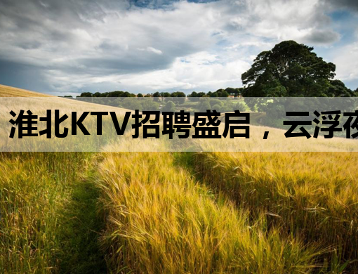 淮北KTV招聘盛启，云浮夜总会、咸阳夜场同步热招公关人才