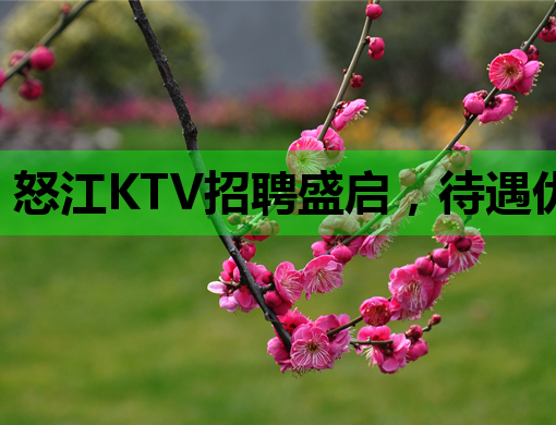 怒江KTV招聘盛启，待遇优厚，诚邀您的加入！