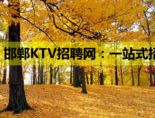 邯郸KTV招聘网：一站式招聘服务平台