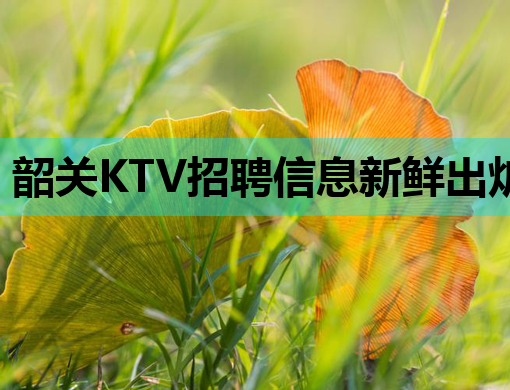 韶关KTV招聘信息新鲜出炉，待遇优厚，诚邀您的加入！