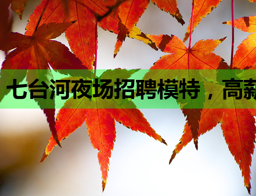 七台河夜场招聘模特，高薪职位等你来挑战！