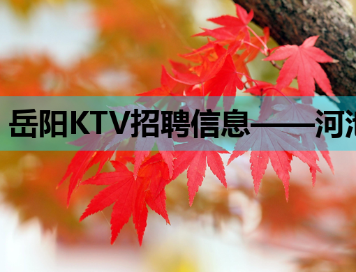 岳阳KTV招聘信息——河池伴游招聘网发布，丹东夜总会诚邀模特