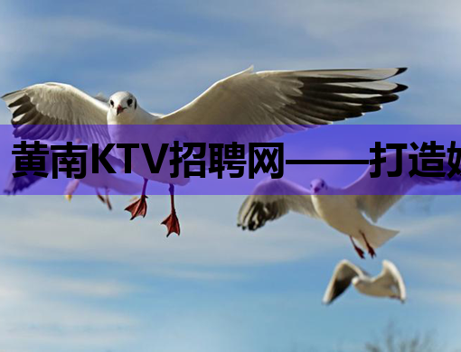 黄南KTV招聘网——打造娱乐行业人才聚集地