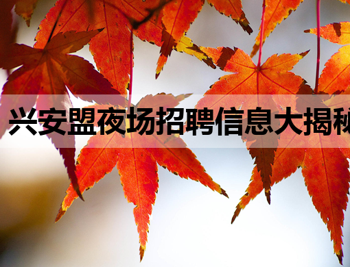 兴安盟夜场招聘信息大揭秘：优质服务人才火热招募中！