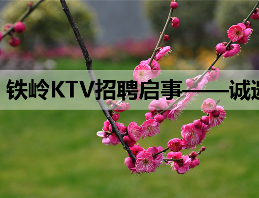 铁岭KTV招聘启事——诚邀英才，共创娱乐新篇章！