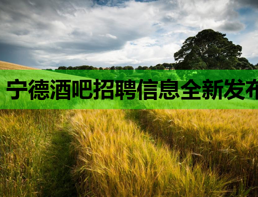 宁德酒吧招聘信息全新发布，高薪诚聘英才！