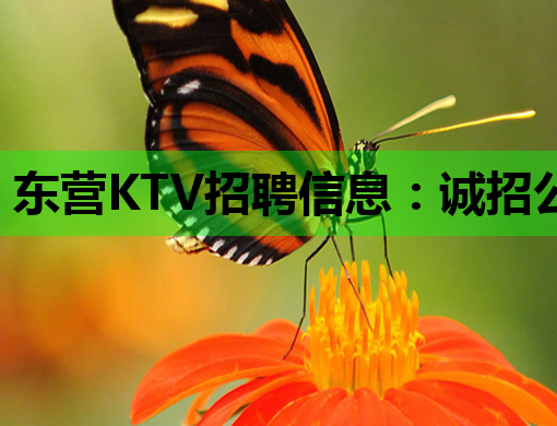 东营KTV招聘信息：诚招公关人才，待遇优厚，机会难得！