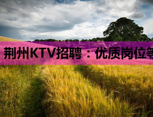 荆州KTV招聘：优质岗位等你来，娱乐行业新机遇